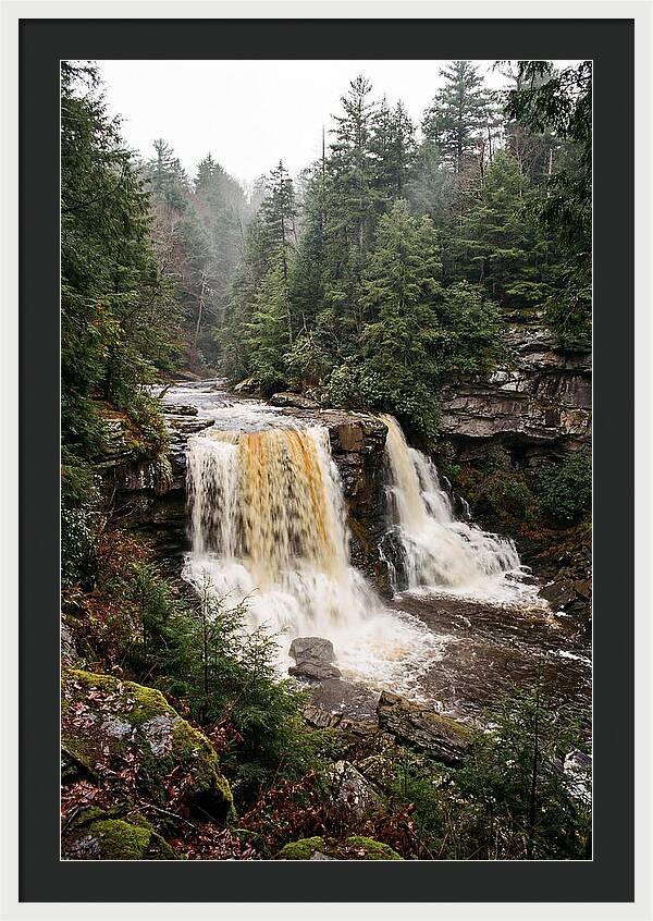 Blackwater Falls Serenity
