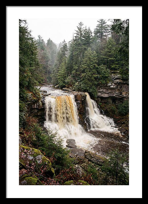 Blackwater Falls Serenity