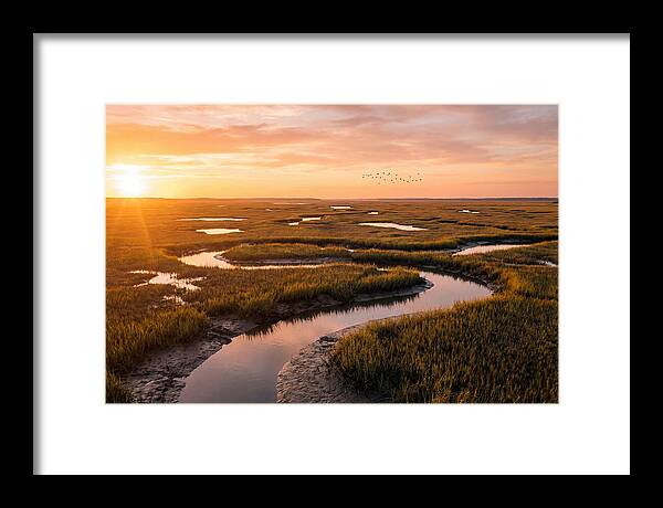 Blackwater Marsh Serenity