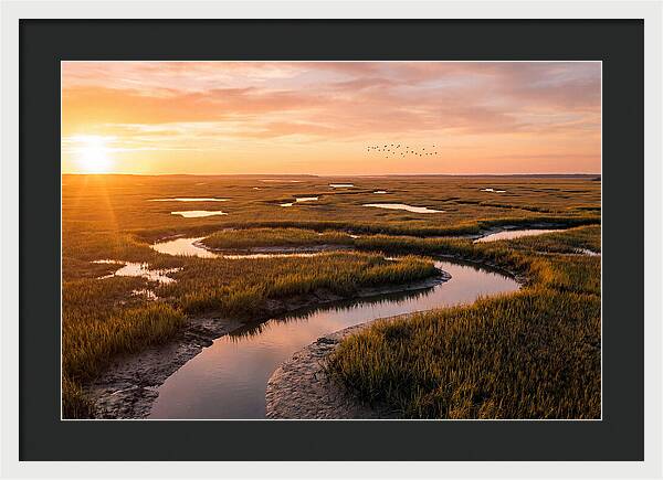 Blackwater Marsh Serenity
