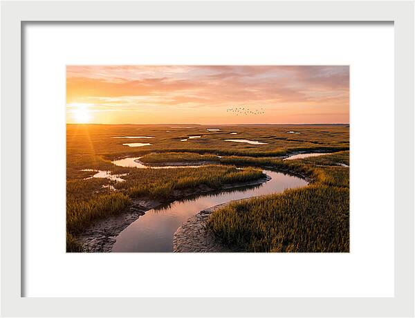 Blackwater Marsh Serenity