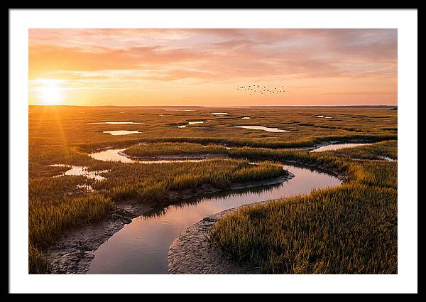 Blackwater Marsh Serenity