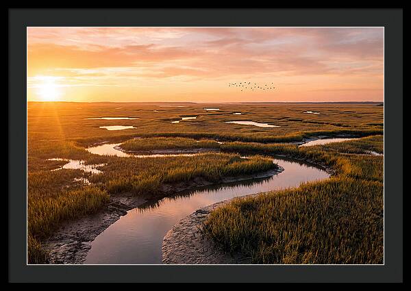 Blackwater Marsh Serenity