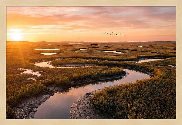 Blackwater Marsh Serenity