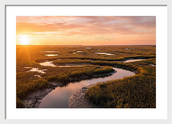 Blackwater Marsh Serenity