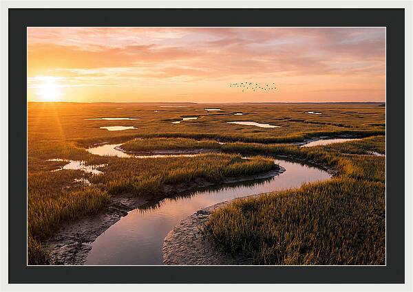 Blackwater Marsh Serenity