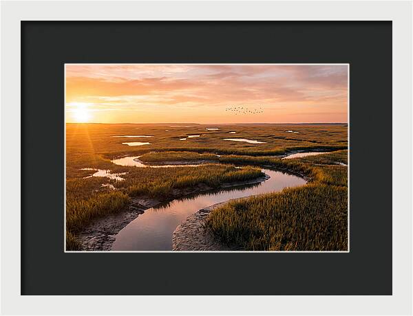 Blackwater Marsh Serenity