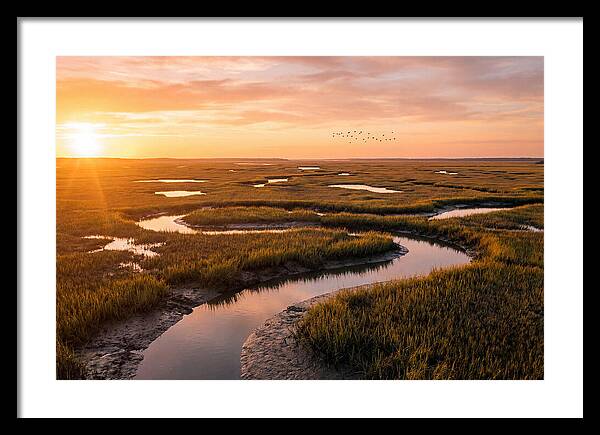 Blackwater Marsh Serenity