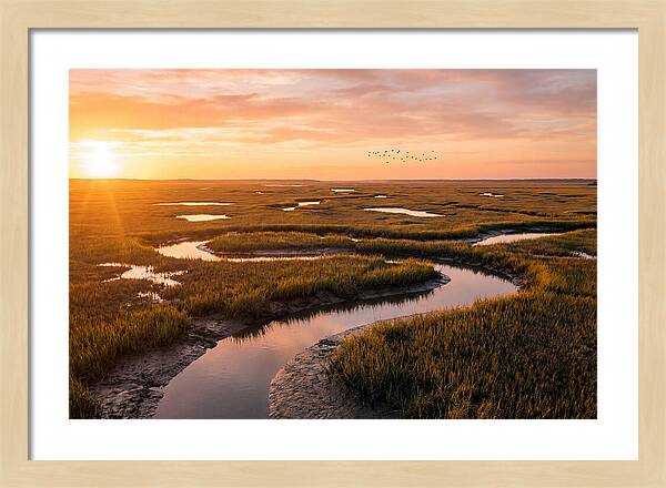Blackwater Marsh Serenity