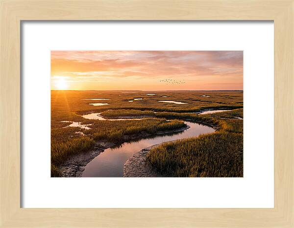 Blackwater Marsh Serenity