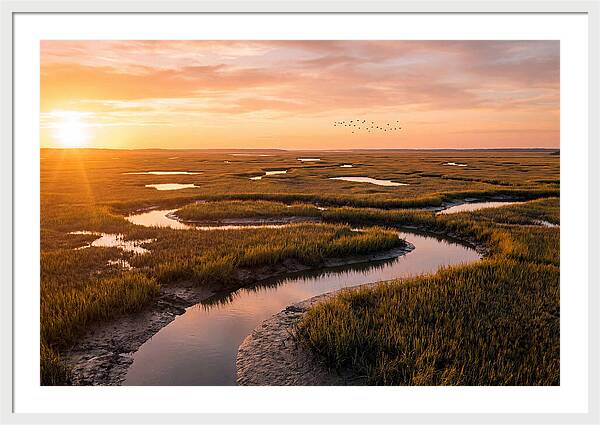 Blackwater Marsh Serenity