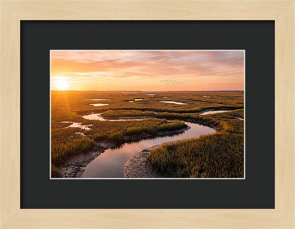 Blackwater Marsh Serenity