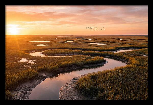 Blackwater Marsh Serenity