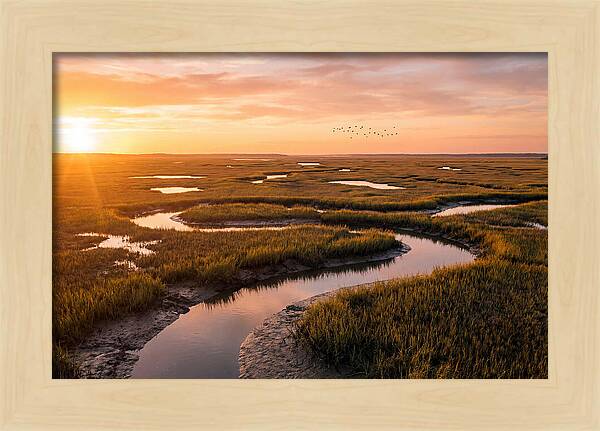 Blackwater Marsh Serenity
