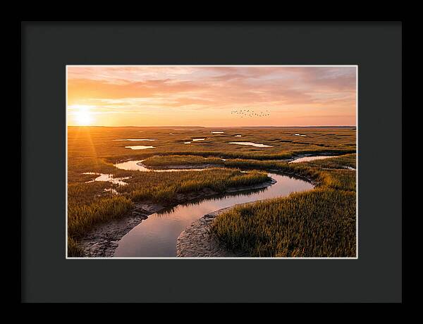 Blackwater Marsh Serenity