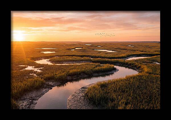Blackwater Marsh Serenity