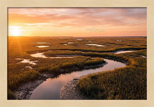 Blackwater Marsh Serenity