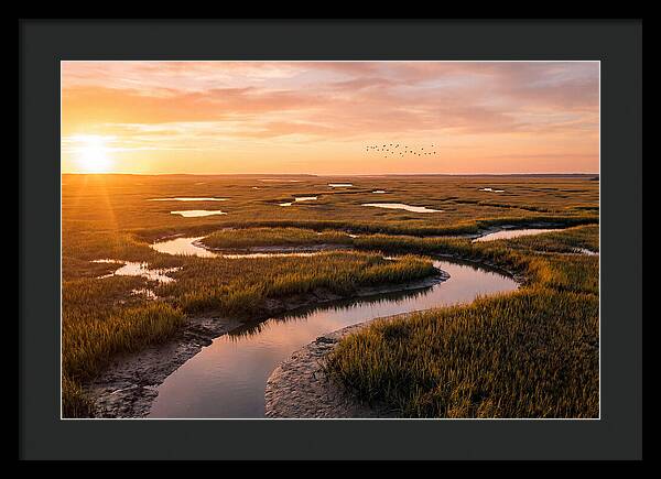 Blackwater Marsh Serenity