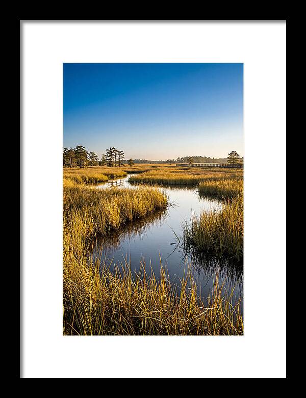 Blackwater Wetland Serenity