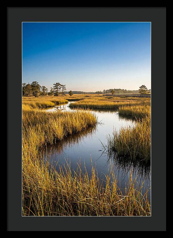 Blackwater Wetland Serenity