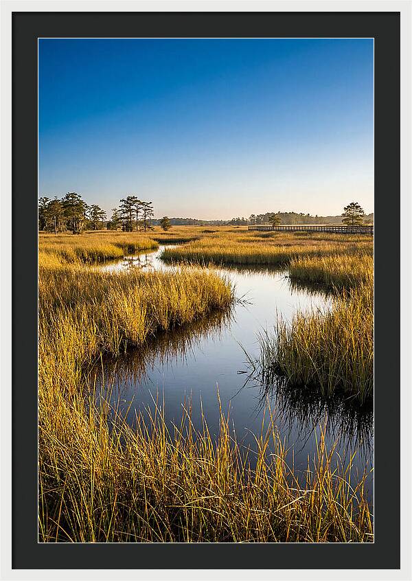 Blackwater Wetland Serenity