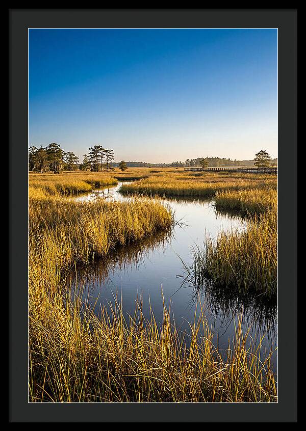 Blackwater Wetland Serenity