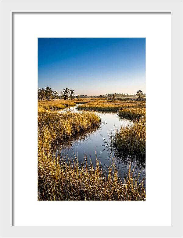 Blackwater Wetland Serenity
