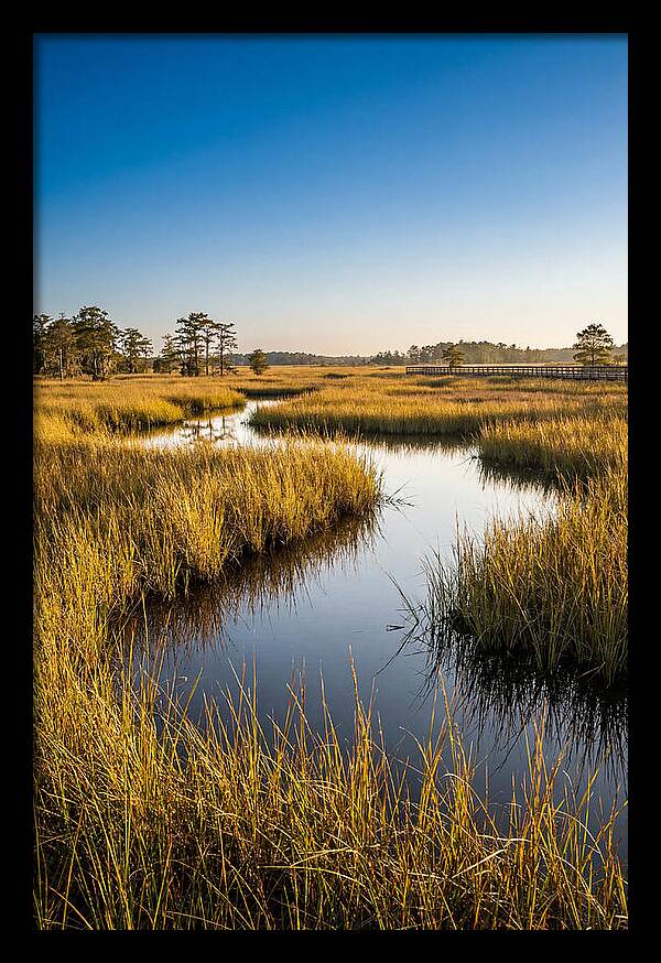 Blackwater Wetland Serenity