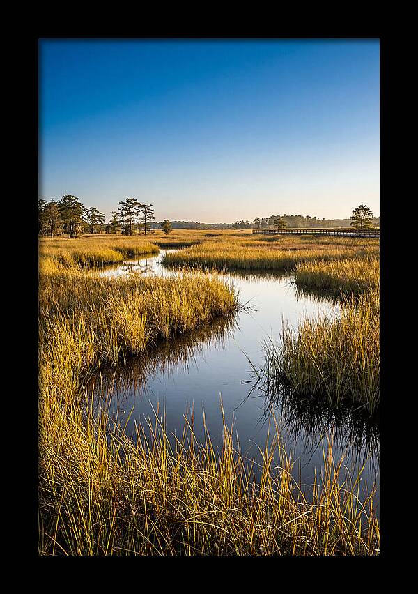 Blackwater Wetland Serenity