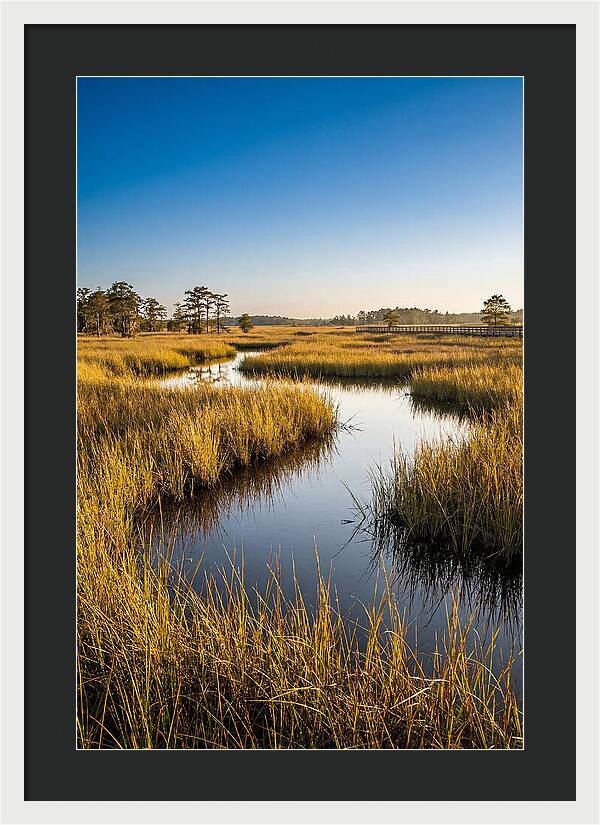 Blackwater Wetland Serenity