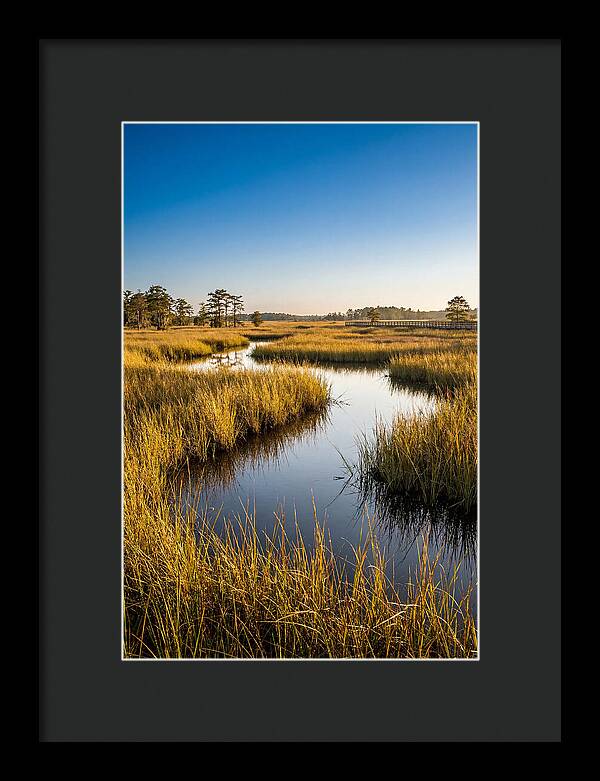 Blackwater Wetland Serenity