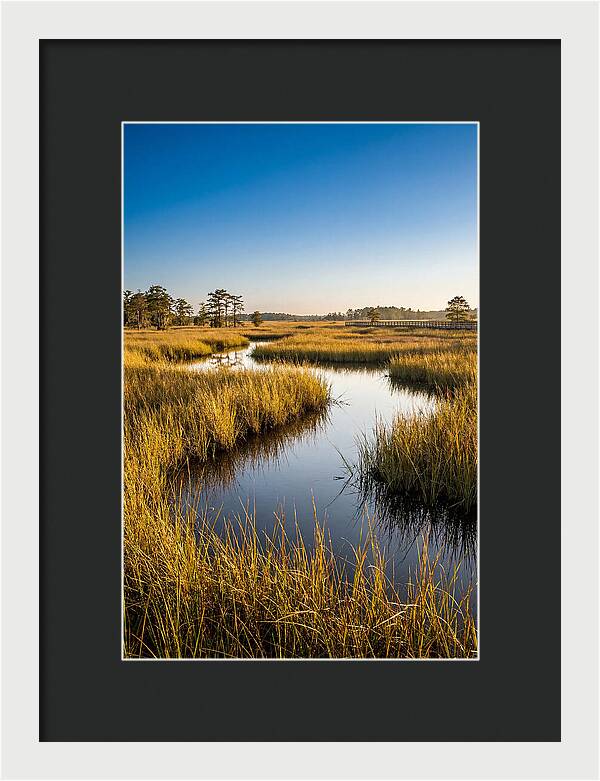 Blackwater Wetland Serenity