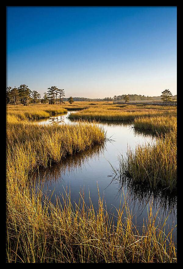 Blackwater Wetland Serenity