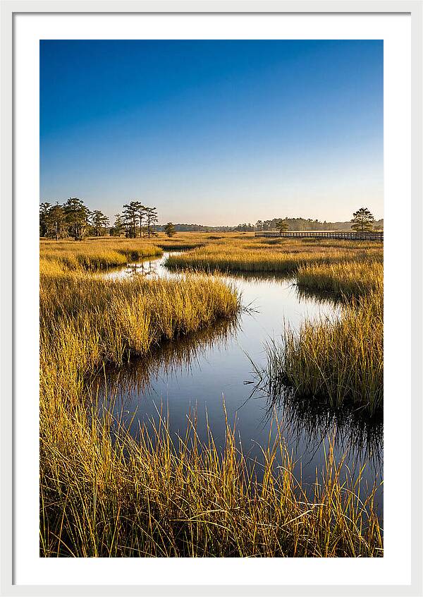 Blackwater Wetland Serenity