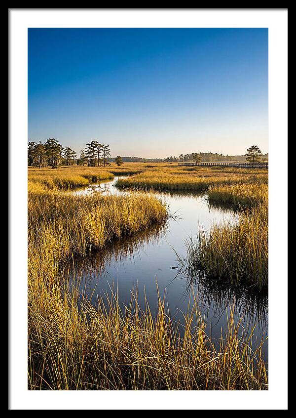 Blackwater Wetland Serenity