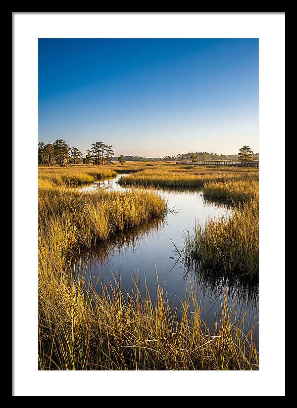Blackwater Wetland Serenity