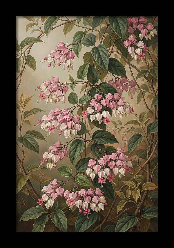 Bleeding Heart Vine Blooms