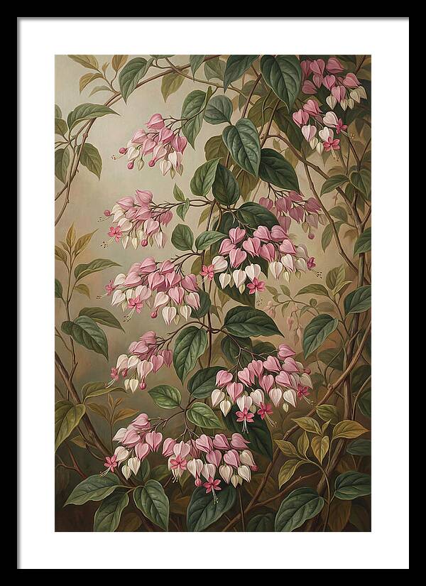 Bleeding Heart Vine Blooms