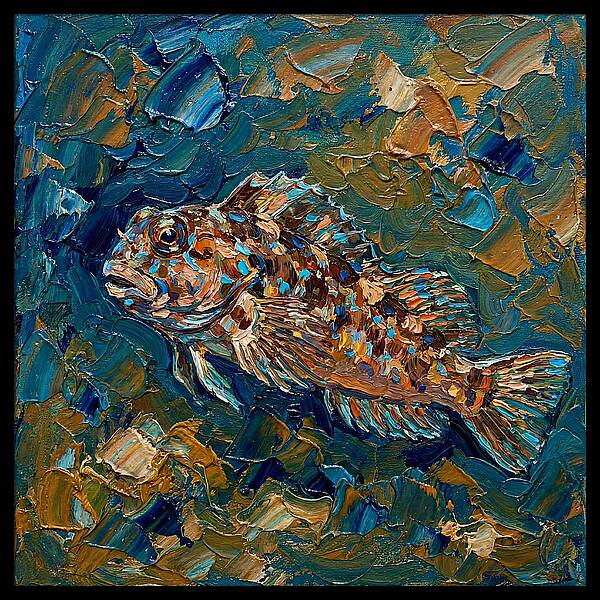 Blenny In Vibrant Waters