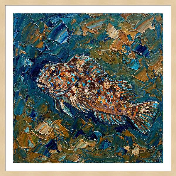 Blenny In Vibrant Waters