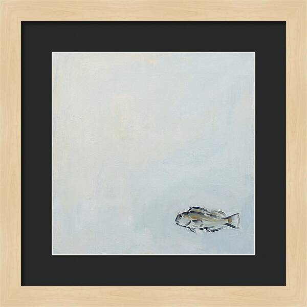 Blenny Swimming In Serenity