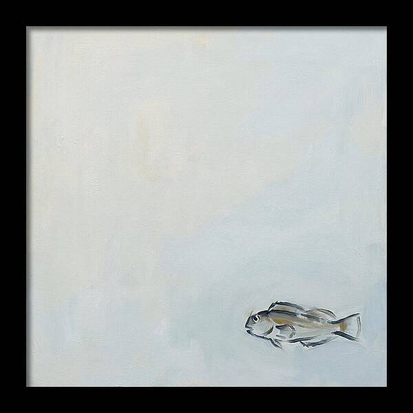 Blenny Swimming In Serenity