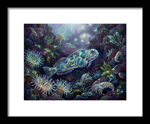 Blenny Underwater Scene