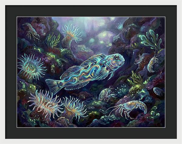 Blenny Underwater Scene