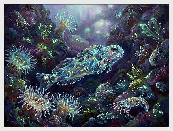 Blenny Underwater Scene