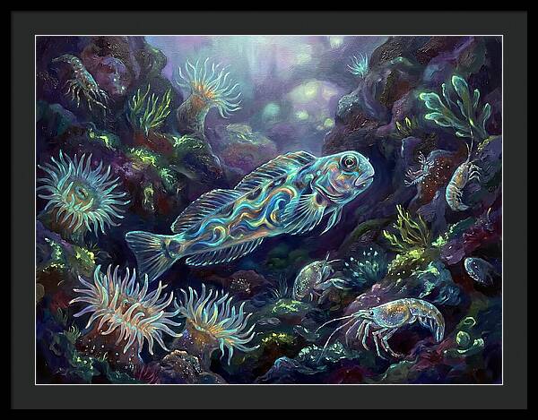 Blenny Underwater Scene