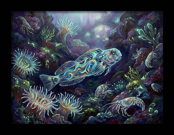 Blenny Underwater Scene