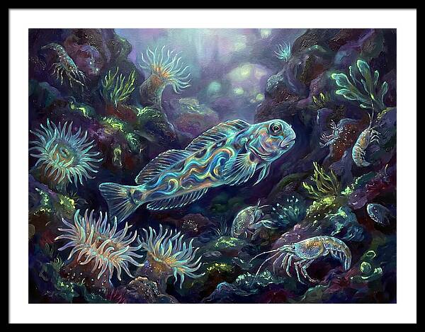 Blenny Underwater Scene