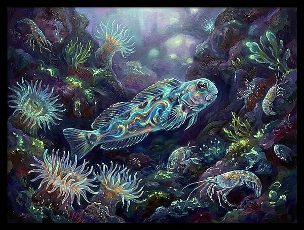 Blenny Underwater Scene