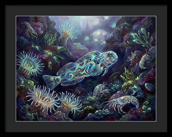 Blenny Underwater Scene